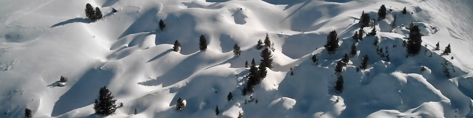 Cembraie sur gypse de La Plagne