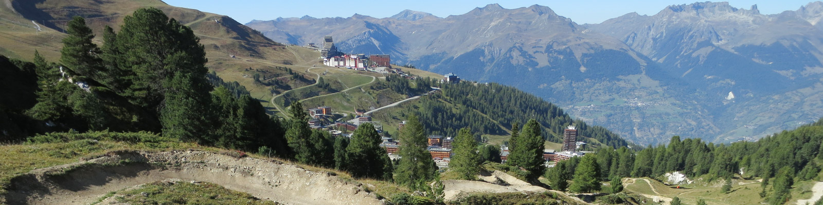 Cembraie de La Plagne.jpg