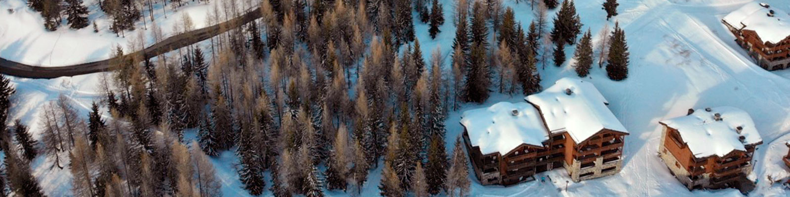 Cette forêt va disparaitre