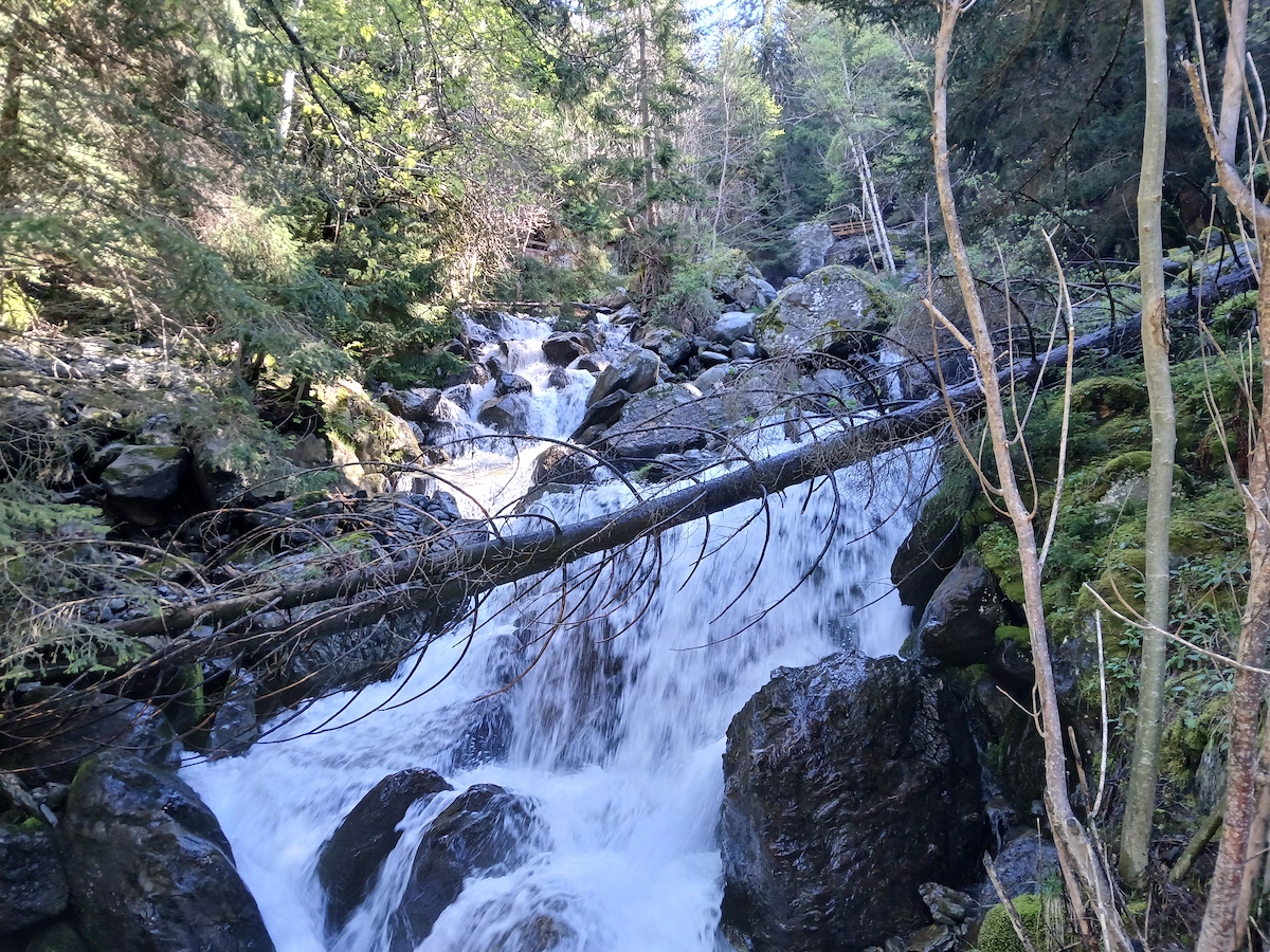 Un projet de microcentrale hydroélectrique sur le ruisseau des Moulins en Haute Tarentaise