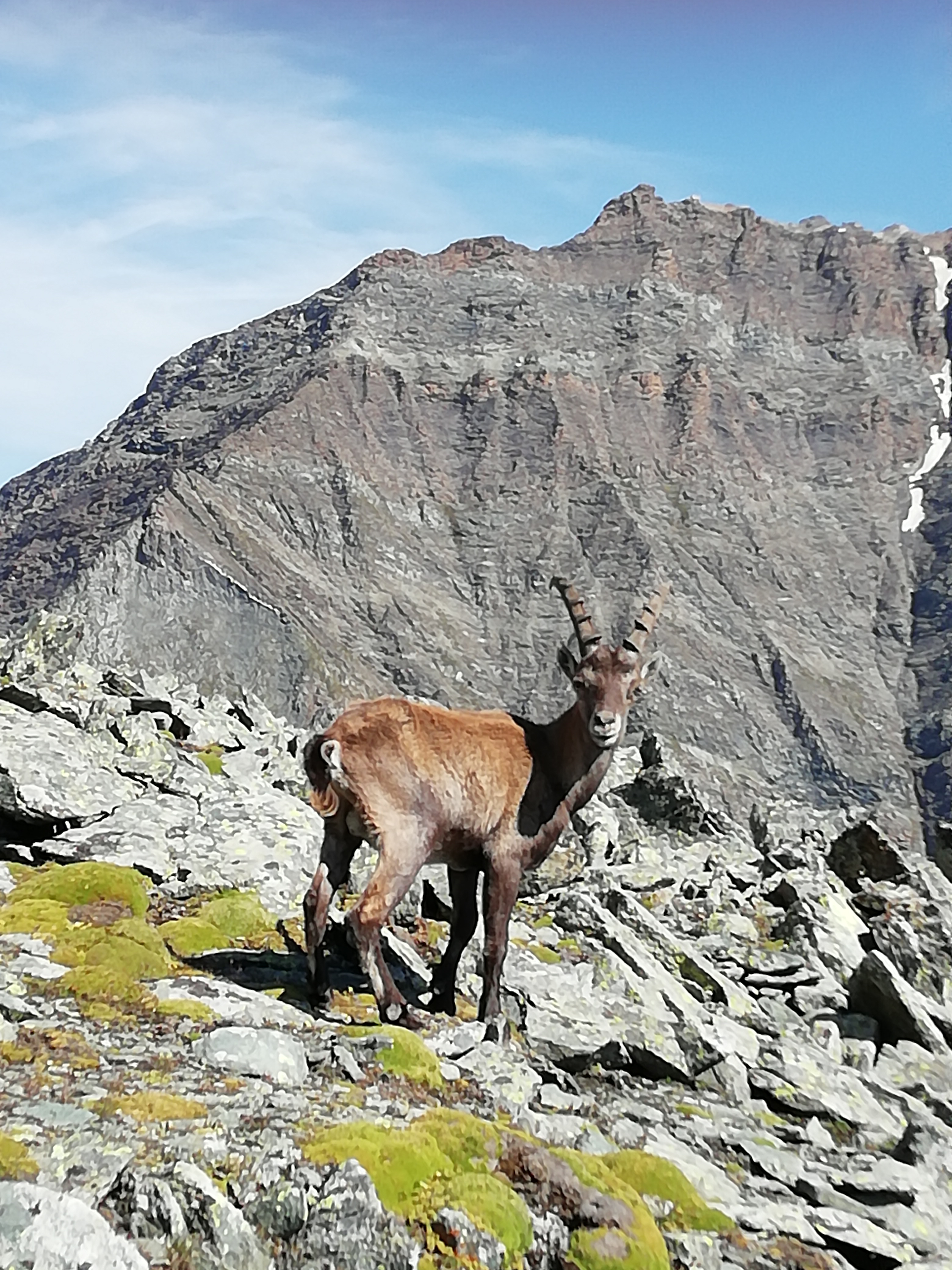 Des planeurs dans le ciel de la Vanoise